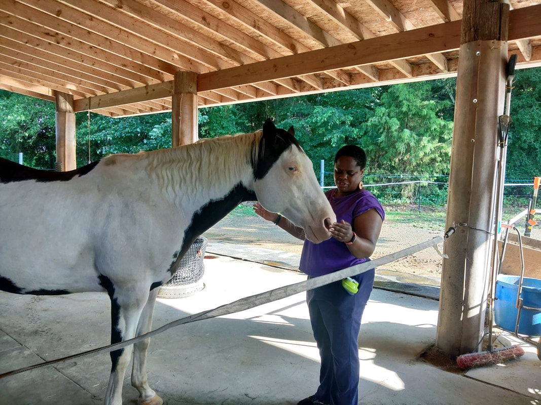 Kelly Nembhard providing Reiki healing at the Eagle Bear Farm in Graham, NC to a horse named Clint.